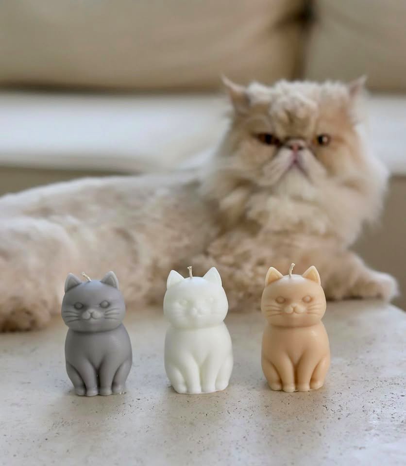 Котешка свещ