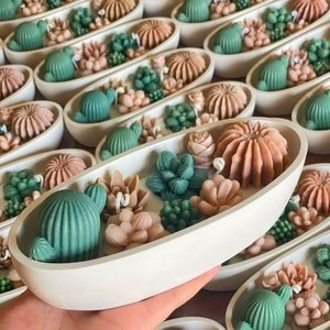 Голяма гондола със сукуленти